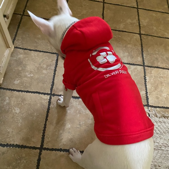 Silver Paw Soft Doggy Sweater - Picture 12 of 15